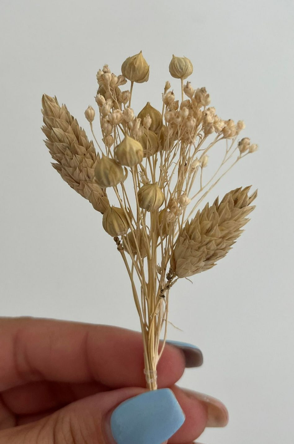 Boutonnière mariage fleurs séchées