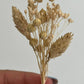 Boutonnière mariage fleurs séchées
